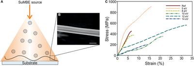 Doubling the Mechanical Properties of Spider Silk by C60 Supersonic Molecular Beam Epitaxy